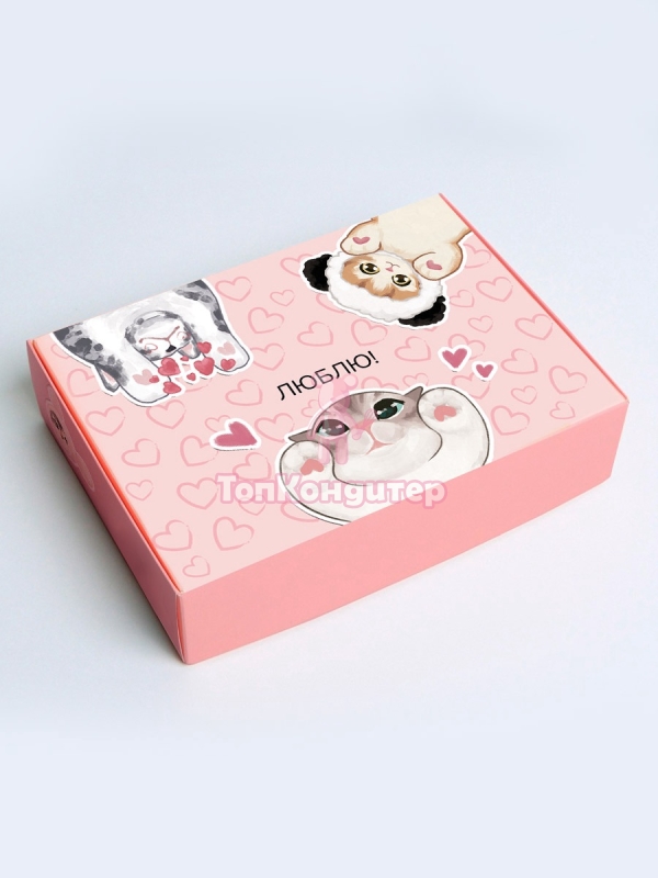 Коробка складная «Котики» 21 см*15 см*5 см