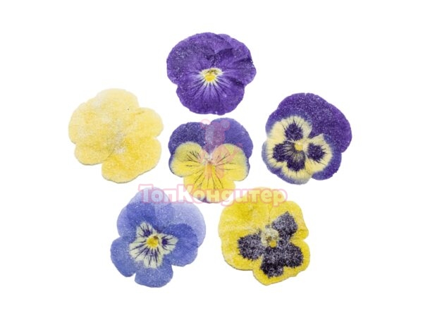 Засахаренный Обезвоженный съедобный цветок "Микс" 6 шт